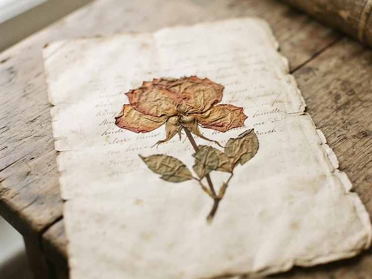 Faded to ochre