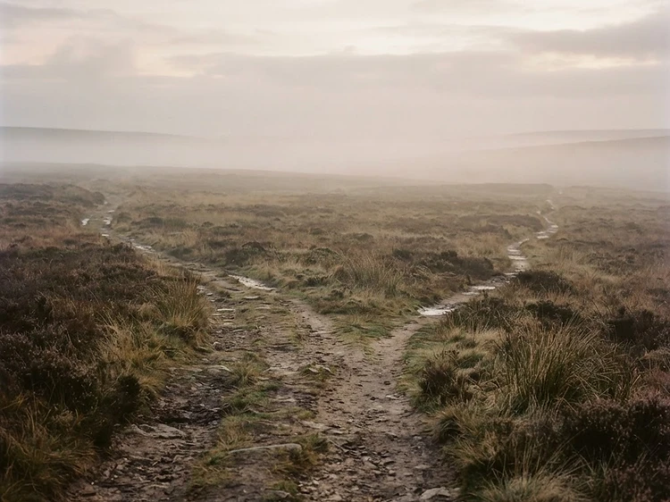 The fork in the road