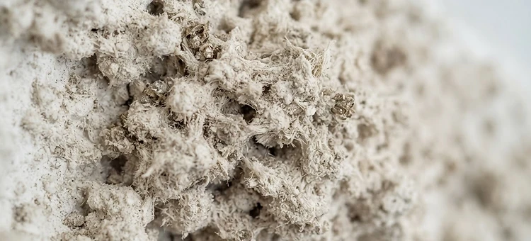 Macro detail of asbestos popcorn ceiling texture in a Mobile AL home