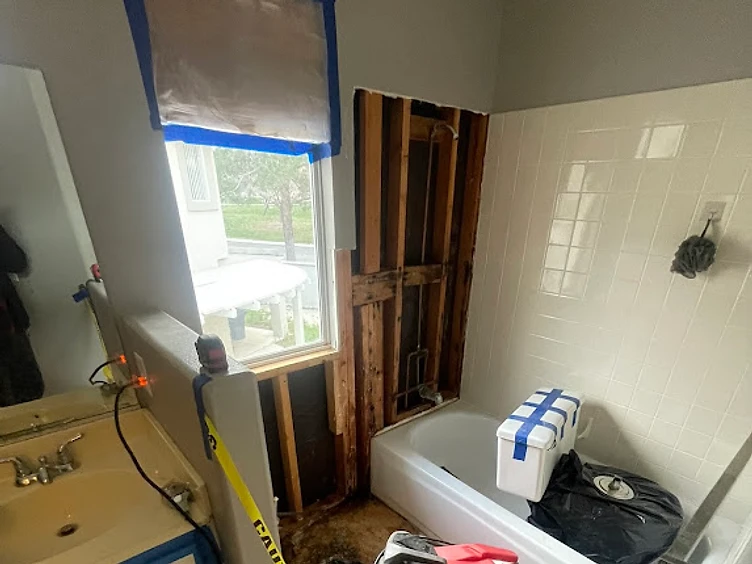 Bathroom mold remediation and reconstruction — before
