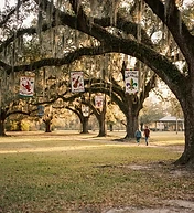 Under the Oaks: Festivals Acadiens et Créoles Returns for Year 52