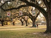 Under the Oaks: Festivals Acadiens et Créoles Returns for Year 52