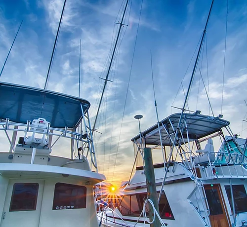 Ocean City charter boats