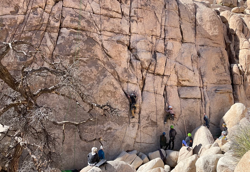 A guided group climbing day at a desert crag