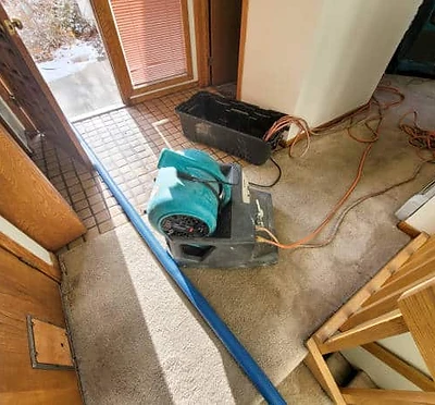 Water Mitigation