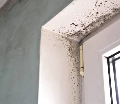 Microbial Remediation