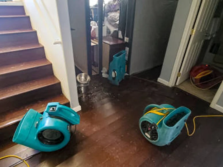 Water Mitigation — in progress