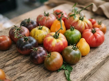 Pomodori antichi (Pro Specie Rara)