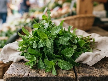 Menta