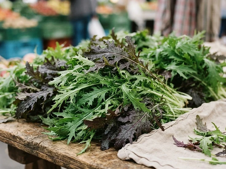 Senape da insalata (mizuna, senape rossa)