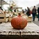 Zucca