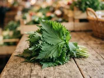 Shiso