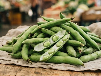 Fava