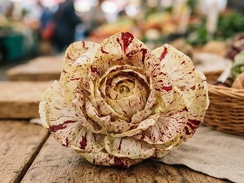 Cicoria di Castelfranco