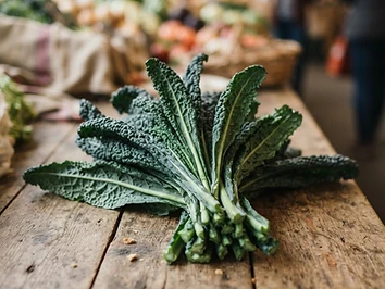 Cavolo nero