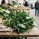 Cime di rapa