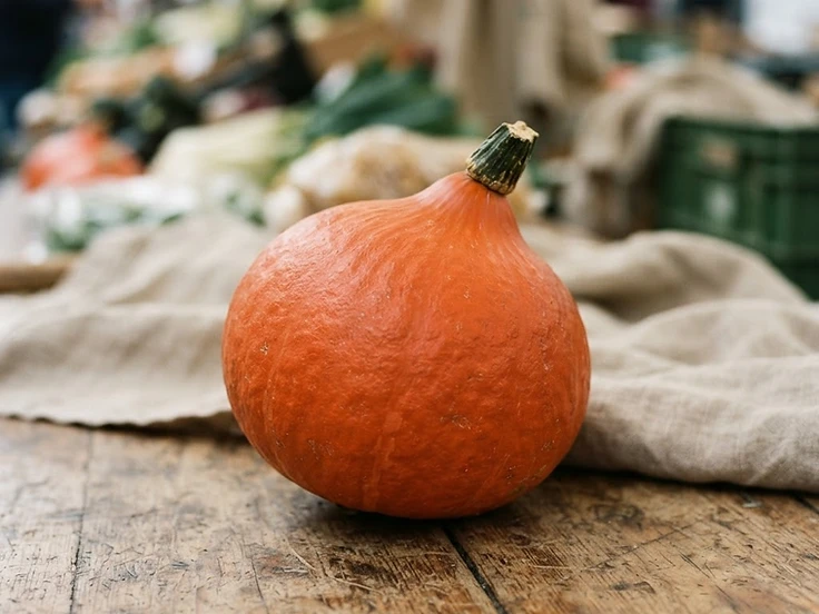 Zucca Hokkaido