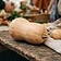Zucca butternut