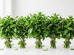 Mint - 5 Bunches