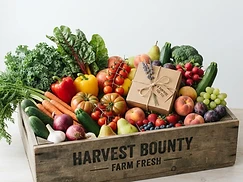 Large Veggie Box