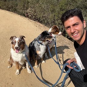 Happy dog at The Paw Club Los Angeles pet care