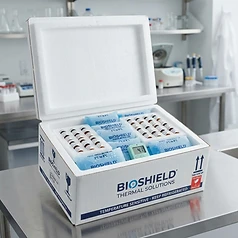 Insulated cold-chain shipping
