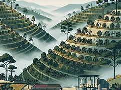 La Sierra β coffee farm illustration 1