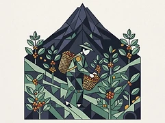UCANOCH Cooperative — coffee farmer illustration 3