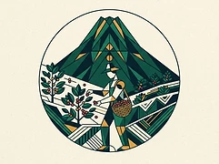 Lisbeth Quispe — coffee farmer illustration 3