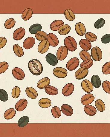 2025 Elora; Galana, Lot #157 - Ethiopia