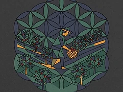 Caballeros — coffee farmer illustration 3