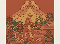 Gititu Farmers Cooperative Society — coffee farmer illustration 2