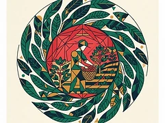 Vladimir Calambás — coffee farmer illustration 3