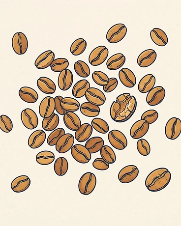 Borderlands Microlot