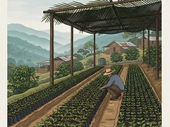 Adan and Kilverth Sagastume — coffee farmer illustration 3