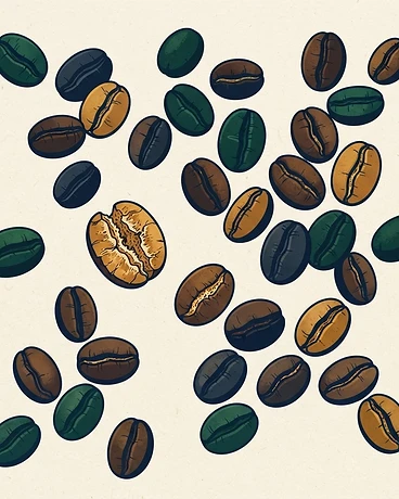 Archive: Colombia Amparo Maya Natural
