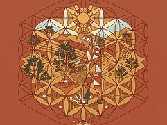 Duromina Cooperative — coffee farmer illustration 2