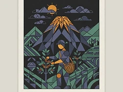Roger Antonio Domínguez Márquez — coffee farmer illustration 1