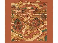 Gititu Farmers Cooperative Society — coffee farmer illustration 3