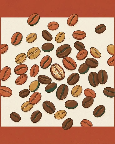 Ethiopia Yirgacheffe Konga Qawissa Washed G1