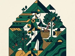 Paulo Afonso de Resende — coffee farmer illustration 2