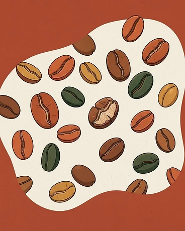 Burundi Campazi Natural