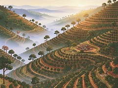 Sitio Cafundo β coffee farm illustration 1