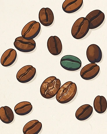 Honduras San Isidro Geisha 7oz