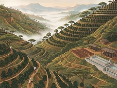 Dawencho β coffee farm illustration 1