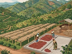 Kanzu Washing Station β coffee farm illustration 2