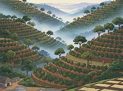 Thiriku Farmer Cooperative Society β coffee farm illustration 1