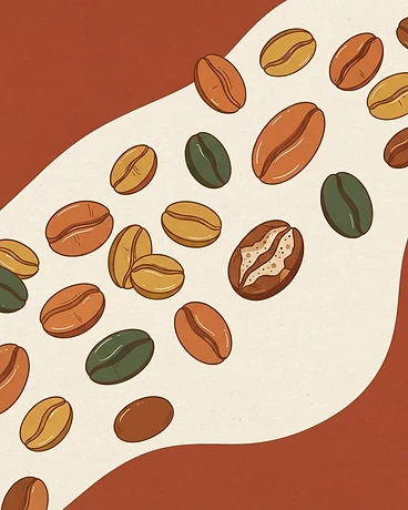 Archive: Ethiopia Tuke Yute Anaerobic Natural