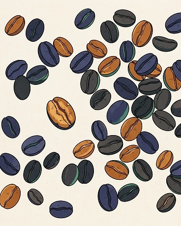 Costa Rica Coopedota Women's Lot