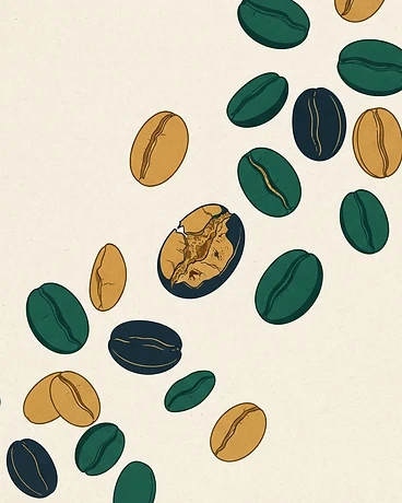 2025 Ricardo Silva; Finca El Suspiro - New Season, 1st Harvest - Colombia